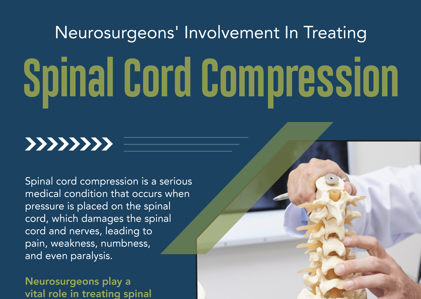 infographic on spinal cord compression